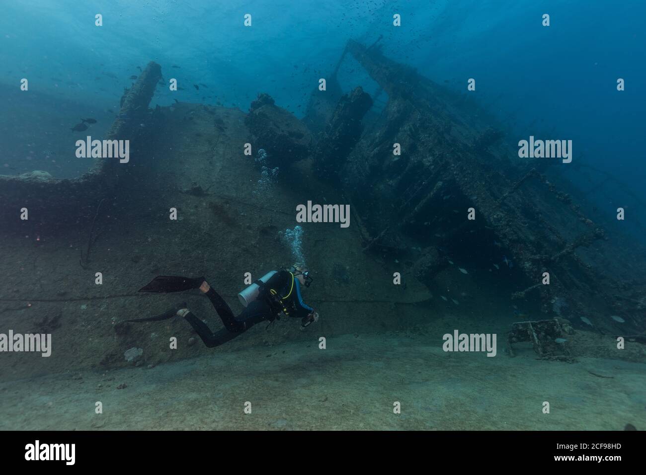 Scuba divers swimming underwater exploring wreckage Stock Photo