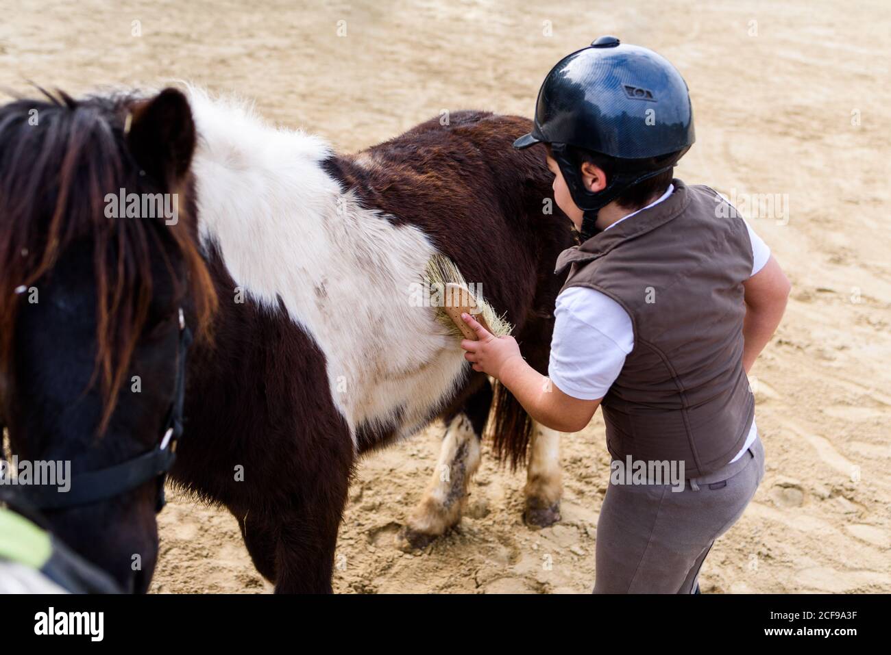 Clean Ponies From above boy in jockey suit and helmet cleaning coat of skewbald pony ...