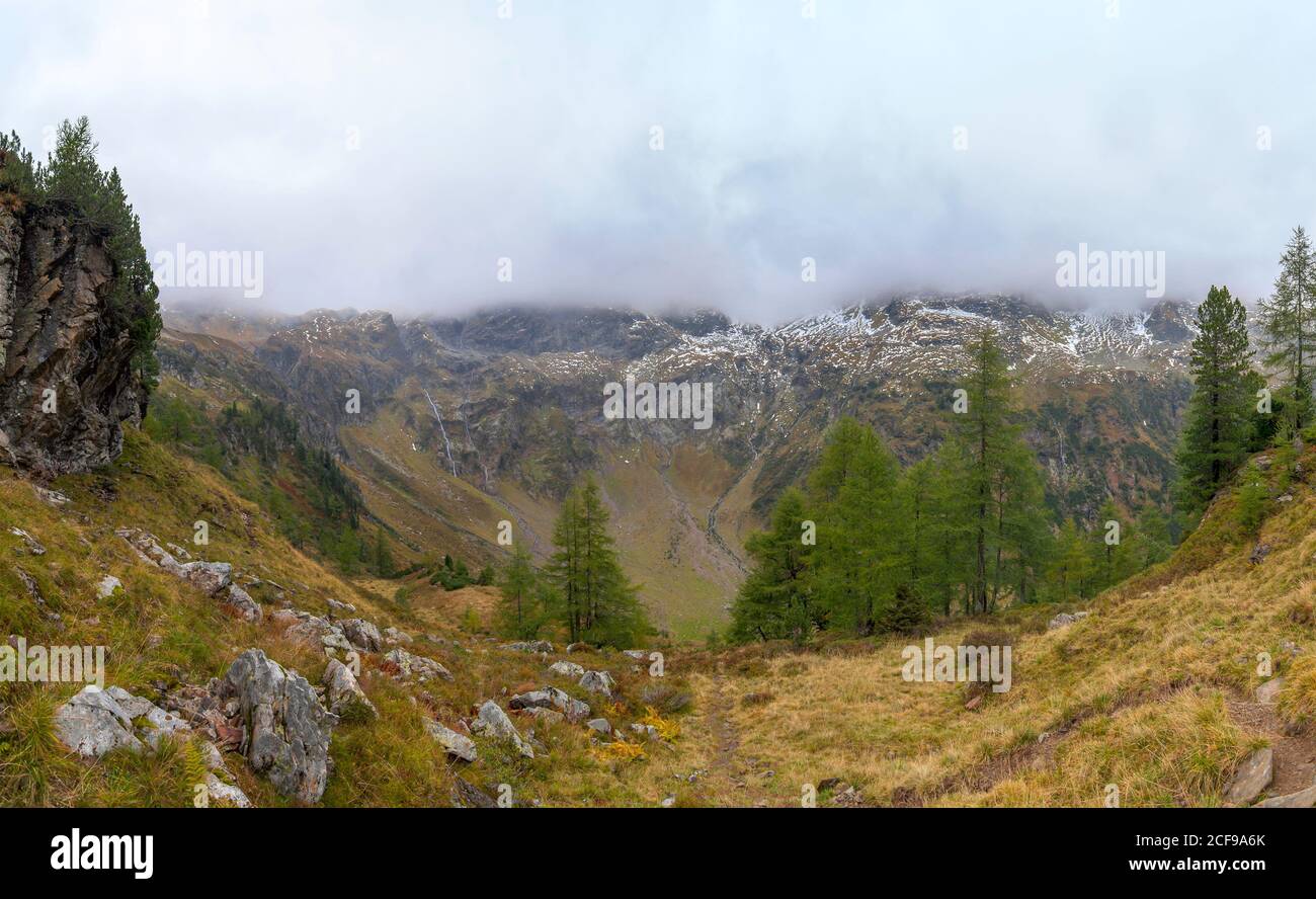 View into a valley with Larch trees (Larix decidua) near the Gralati lake in the Stubai Alps. Autumn mood with fog in the background. Stock Photo