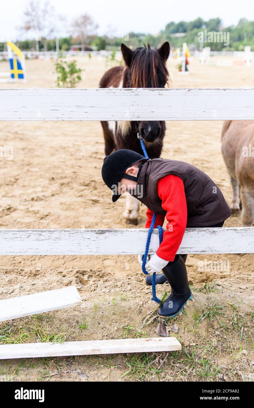 Side view of little boy tying reins of brown pony horse to paddock barrier during training in equestrian school Stock Photo