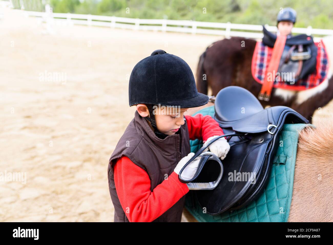 Side view of little jockey in protective helmet adjusting stirrup on saddle before riding skewbald pony in equestrian school Stock Photo