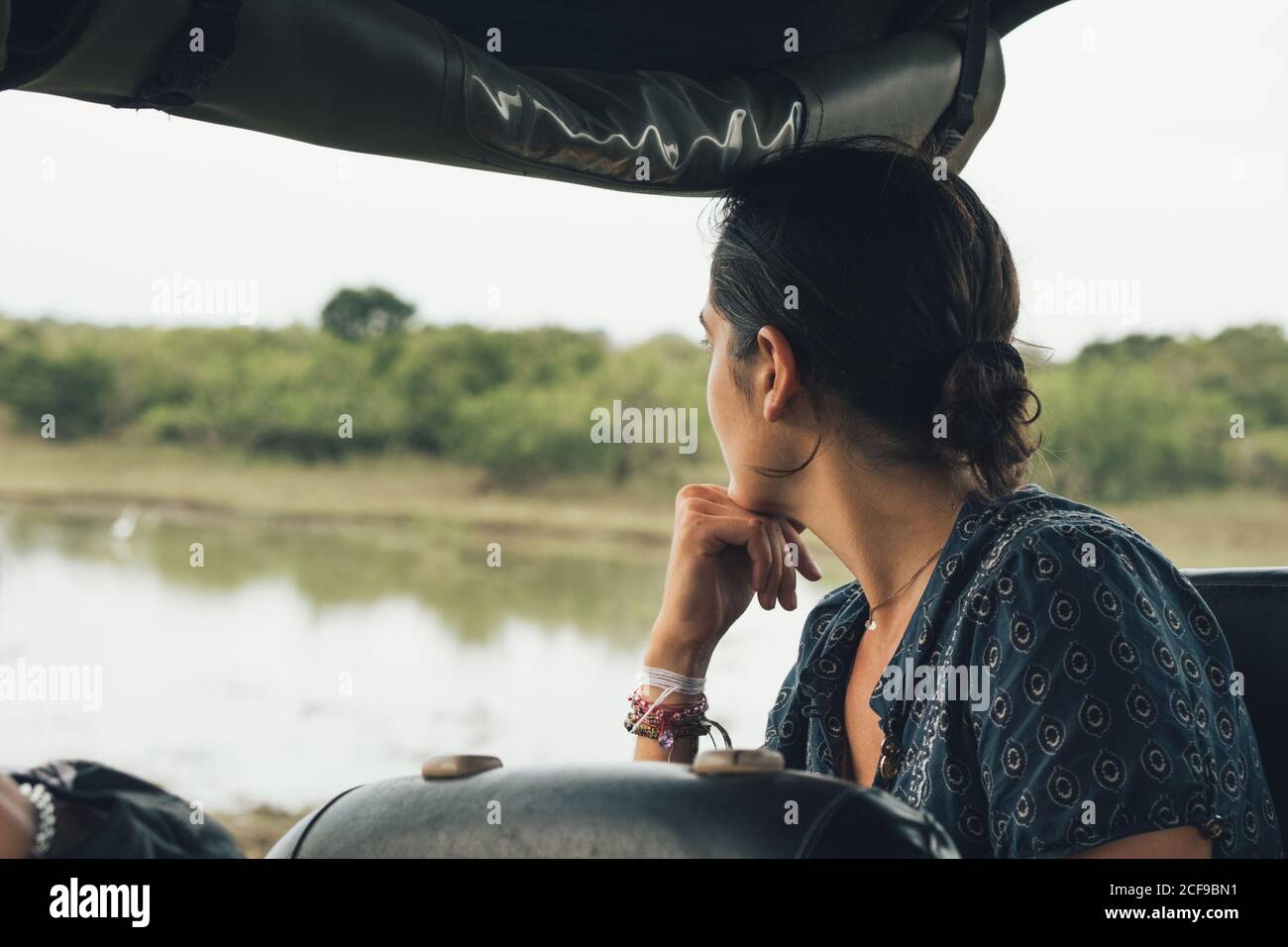 Back view of unrecognizable traveling female sitting in automobile and admiring wonderful view of wildlife park Stock Photo