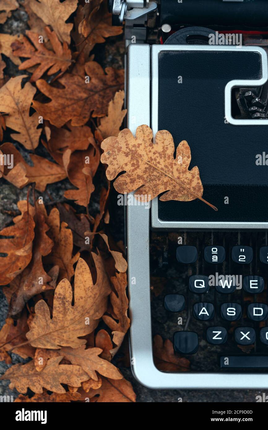Vintage typewriter covered with oak leaves in autumn Stock Photo