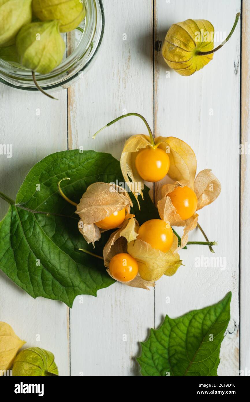 Physalis fruit (Physalis peruviana) also called uchuva, cape gooseberry or gold berries, native of Peru, on a wooden white board with leaves. Stock Photo