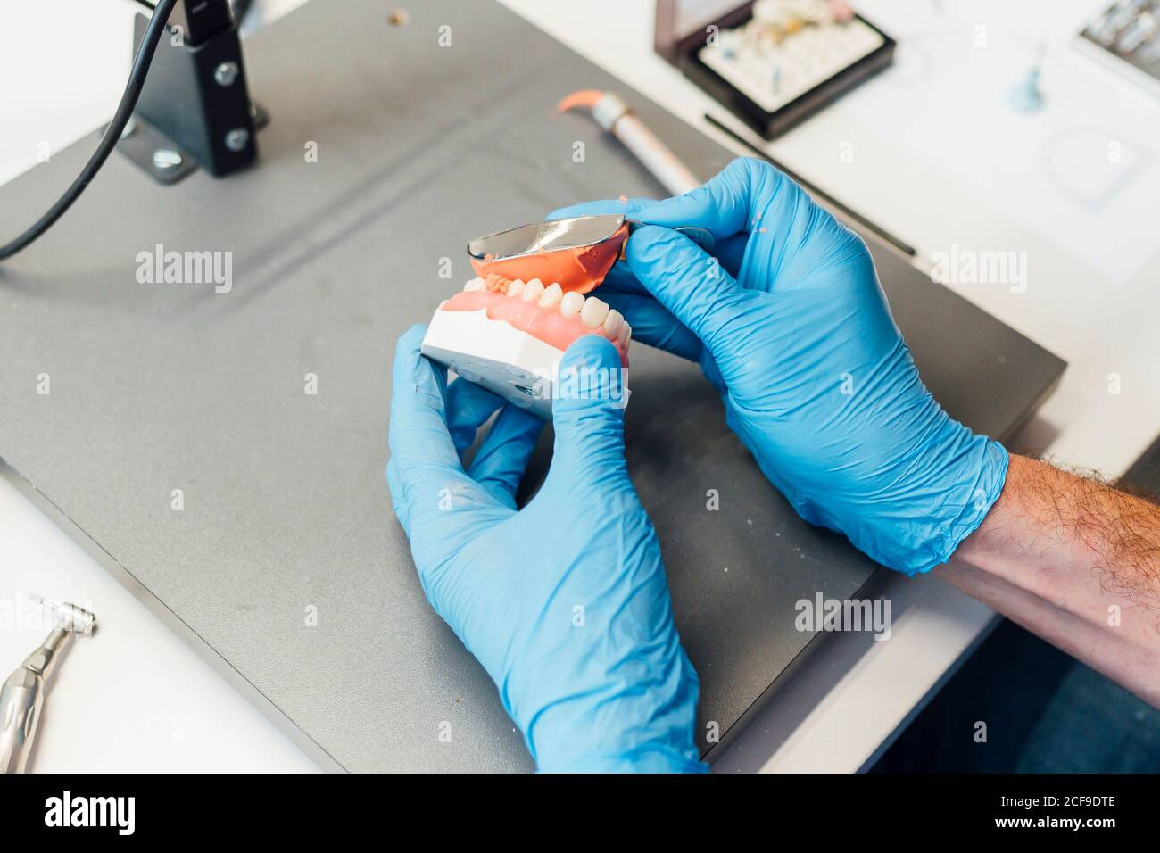 From above crop male student hands holding denture and paste while sitting at table during dentistry class Stock Photo