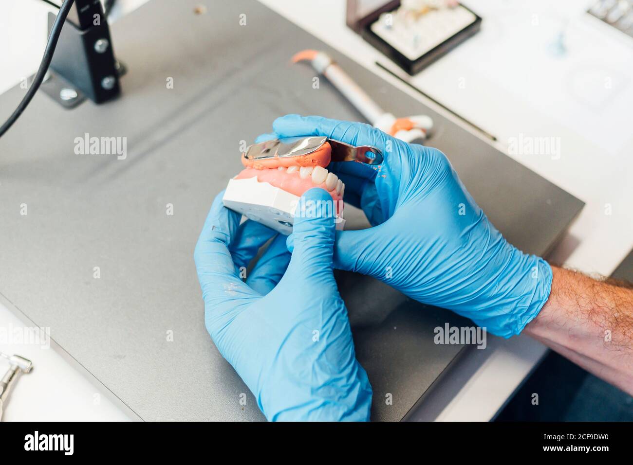 From above crop male student hands holding denture and paste while sitting at table during dentistry class Stock Photo