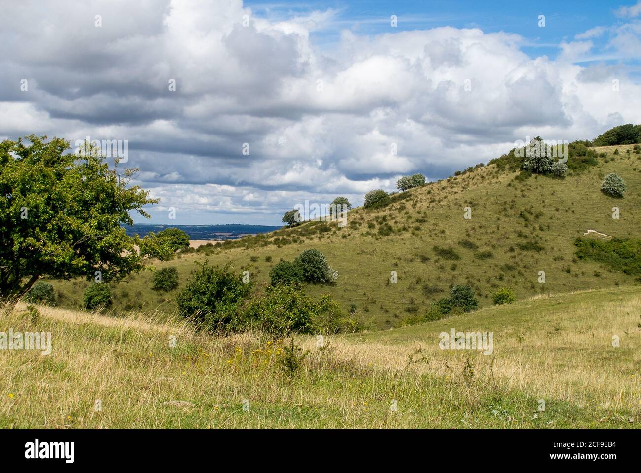 View of landscape from a ridge on the Ashridge Estate in the Chilterns ...