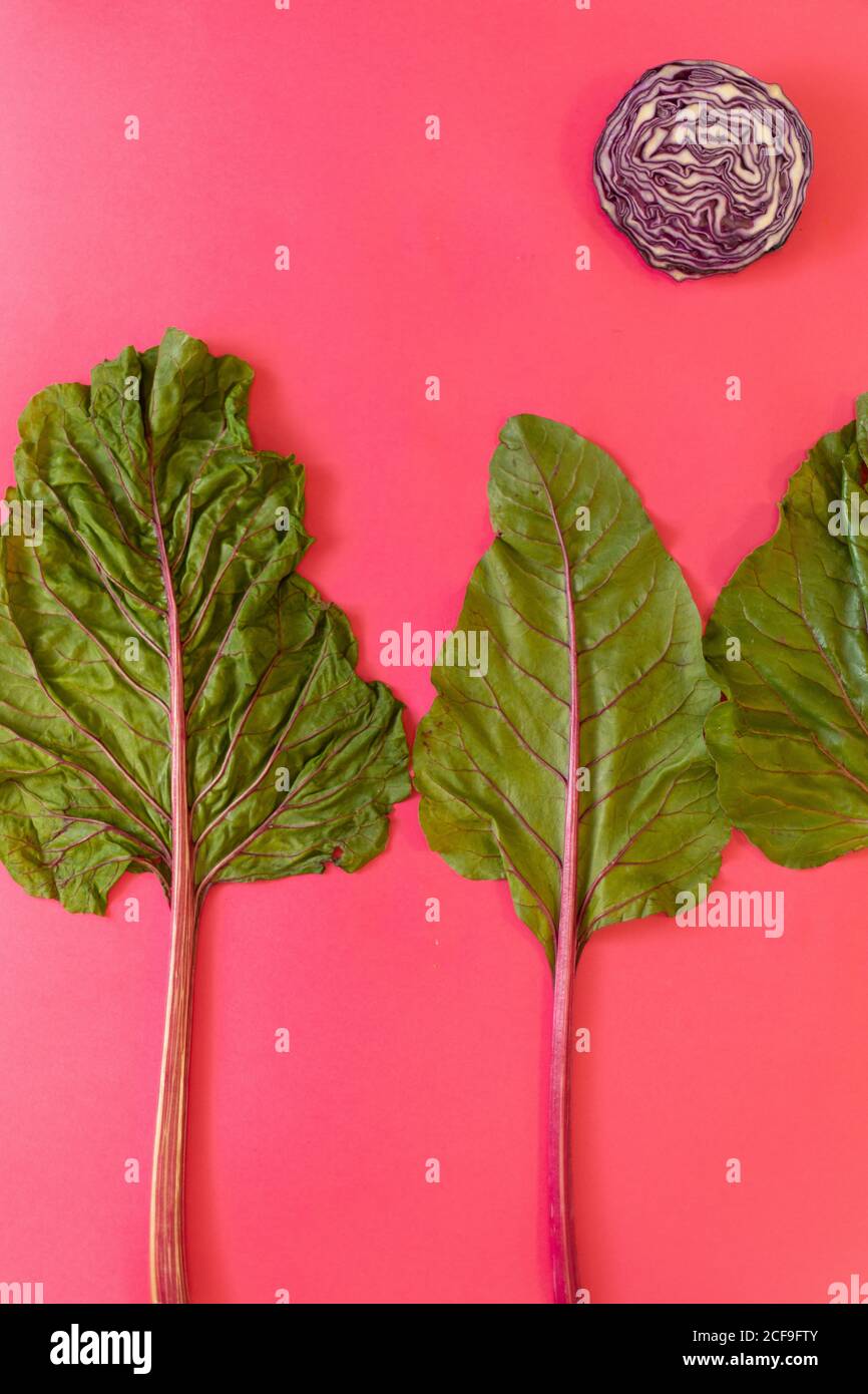 From above fresh beetroot leaves placed near half of ripe red cabbage on bright pink background Stock Photo