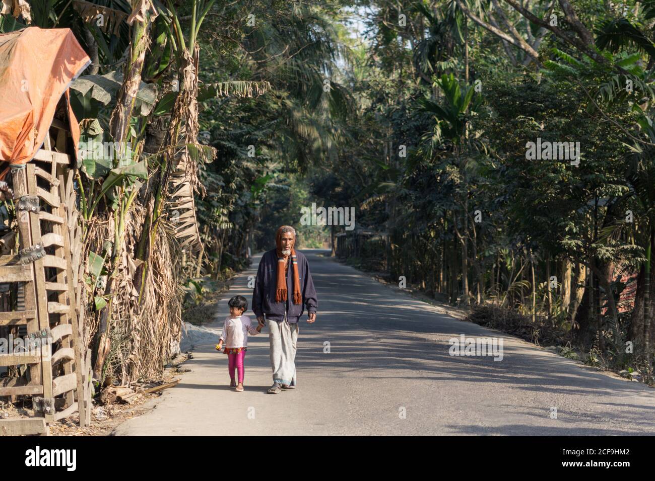 Serious ethnic aged ethnic man and kid holding hands and walking on asphalt road through tropical forest in Barisal in Bangladesh Stock Photo