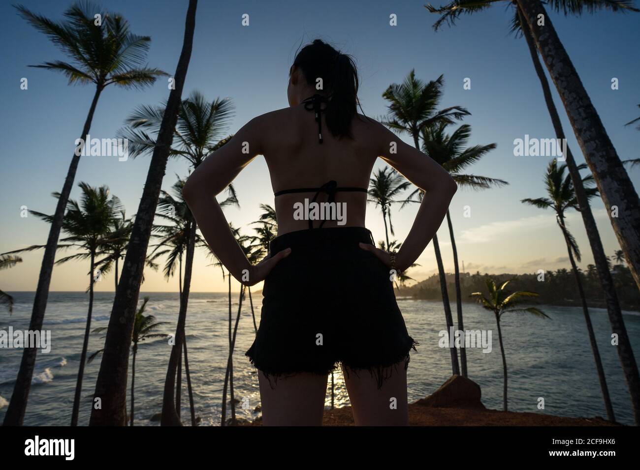 Tranquil female traveler among palms at seashore Stock Photo