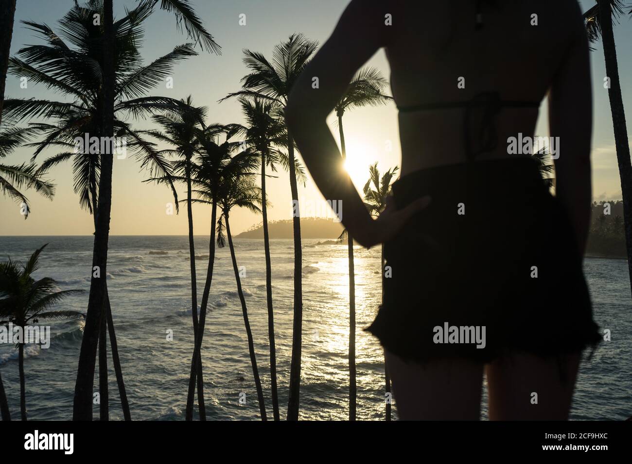 Tranquil female traveler among palms at seashore Stock Photo