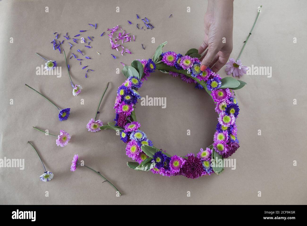 High angle shot of a person making a headband from pink and purple aster flowers Stock Photo
