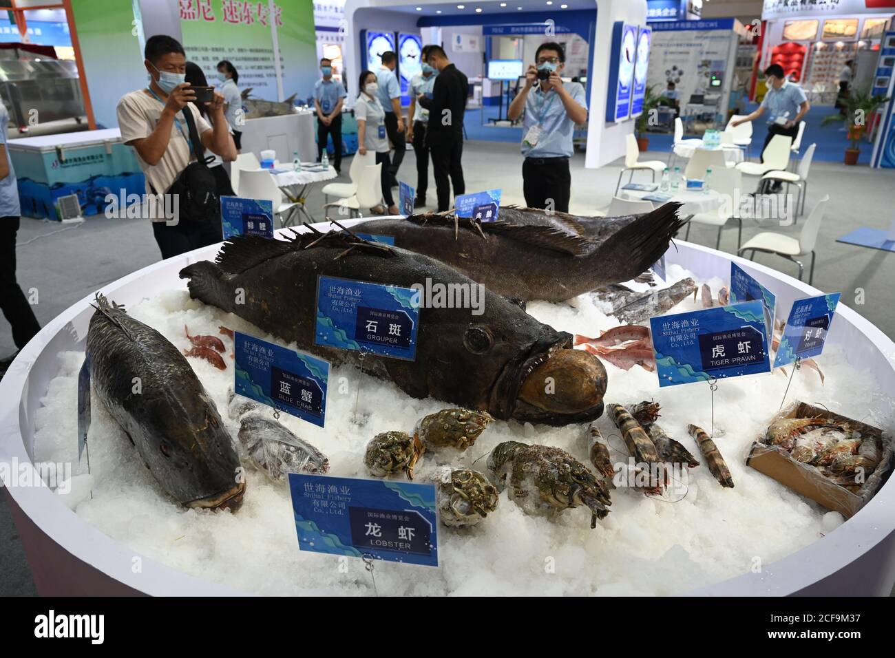 International fisheries exhibition hires stock photography and images