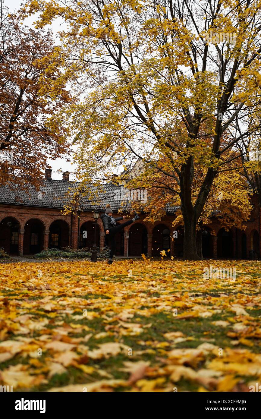 Picturesque view of golden autumn and maple tree in patio of Oslo Cathedral in Norway Stock Photo