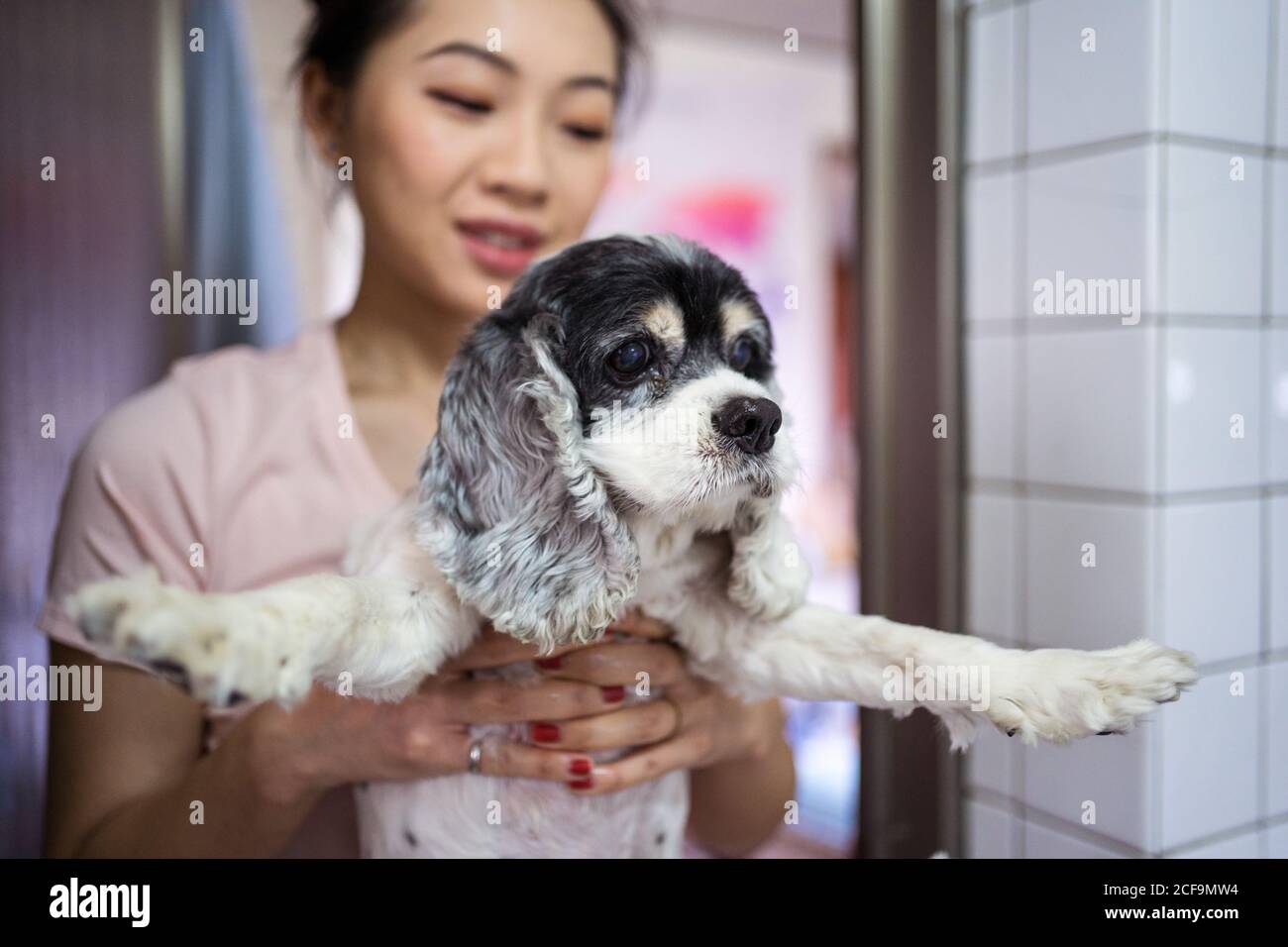Young Asian female owner holding cute Cocker Spaniel puppy dog with