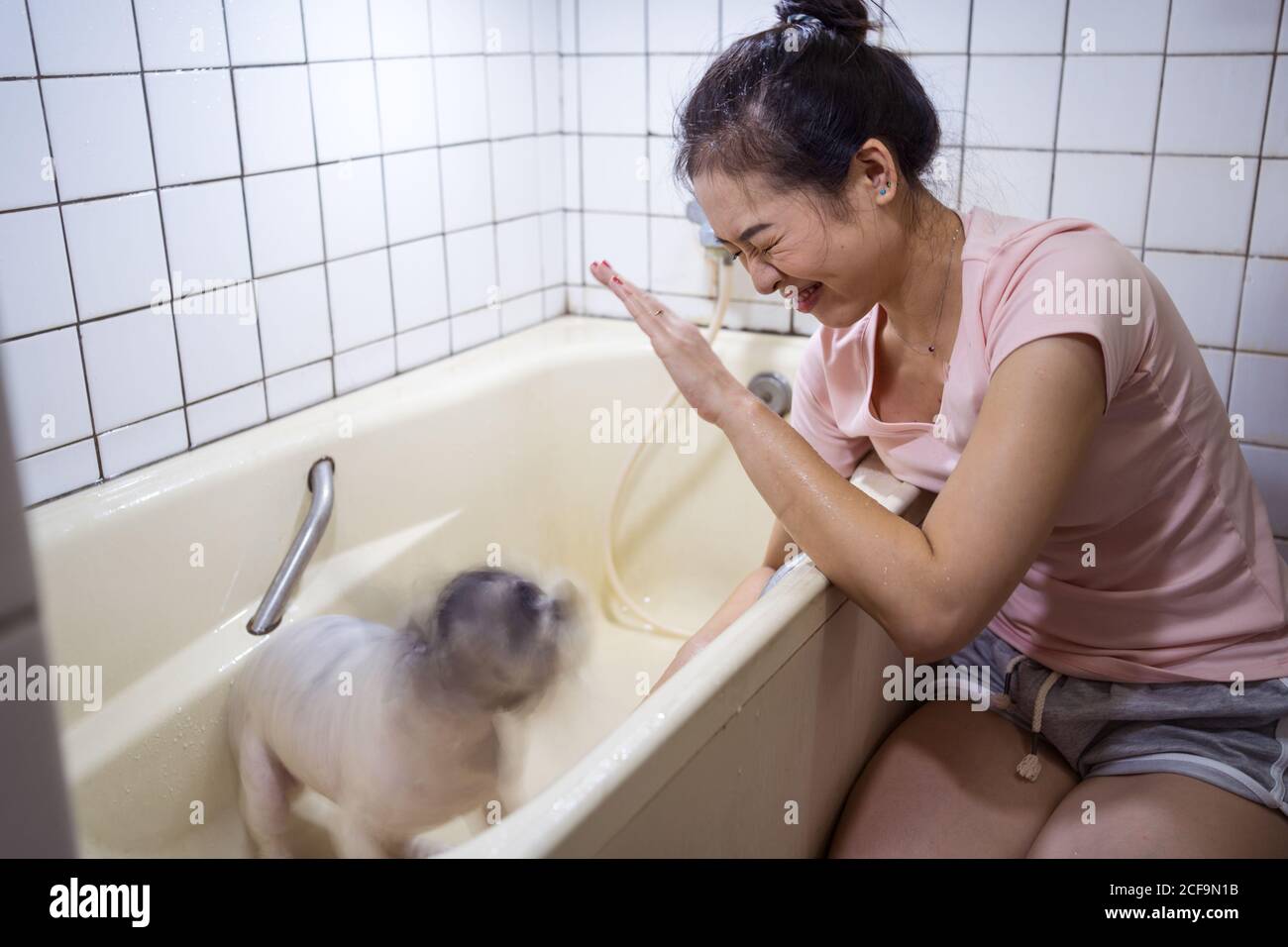 Young ethnic Woman protecting face from splashing water while wet dog shaking in bathtub during home bath procedure Stock Photo