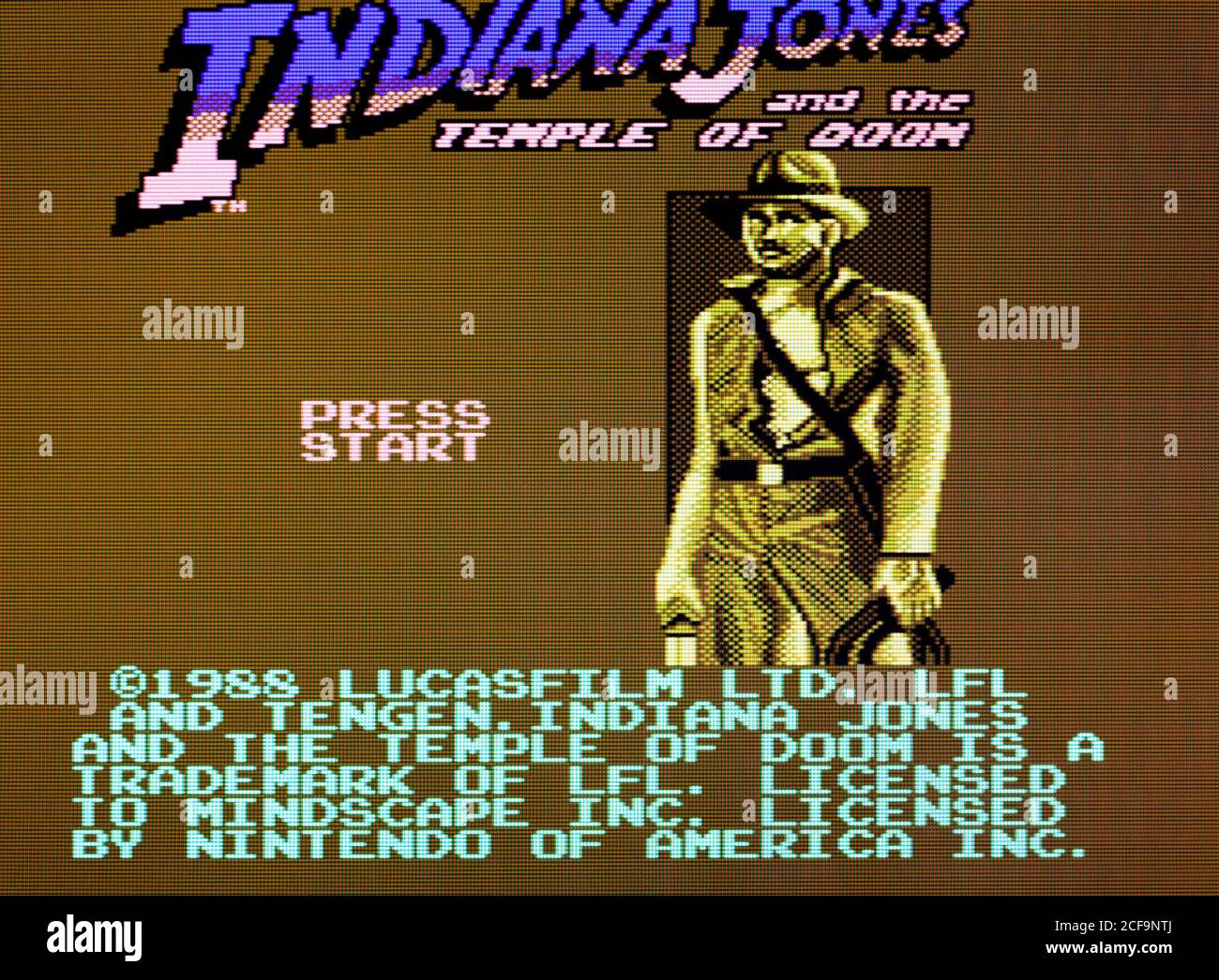 Indiana Jones & The Temple of Doom Nintendo Entertainment System