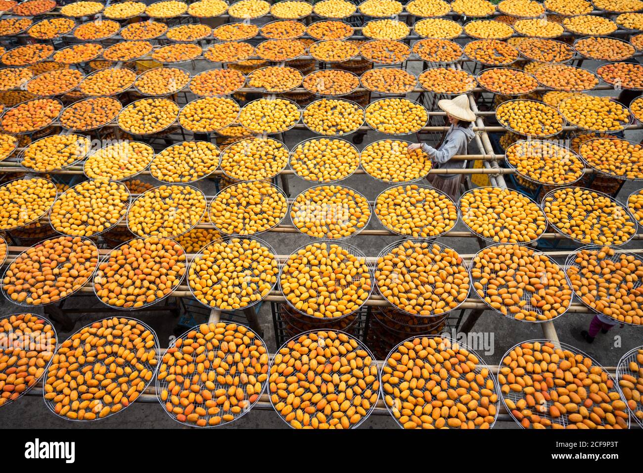 Asian lady along storage with persimmon Stock Photo