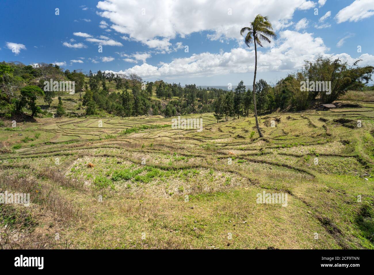 From above beautiful rural environment including terraced fields against solitary settlement on hill under blue sky with lush white clouds in summer in Southeast Asian Stock Photo