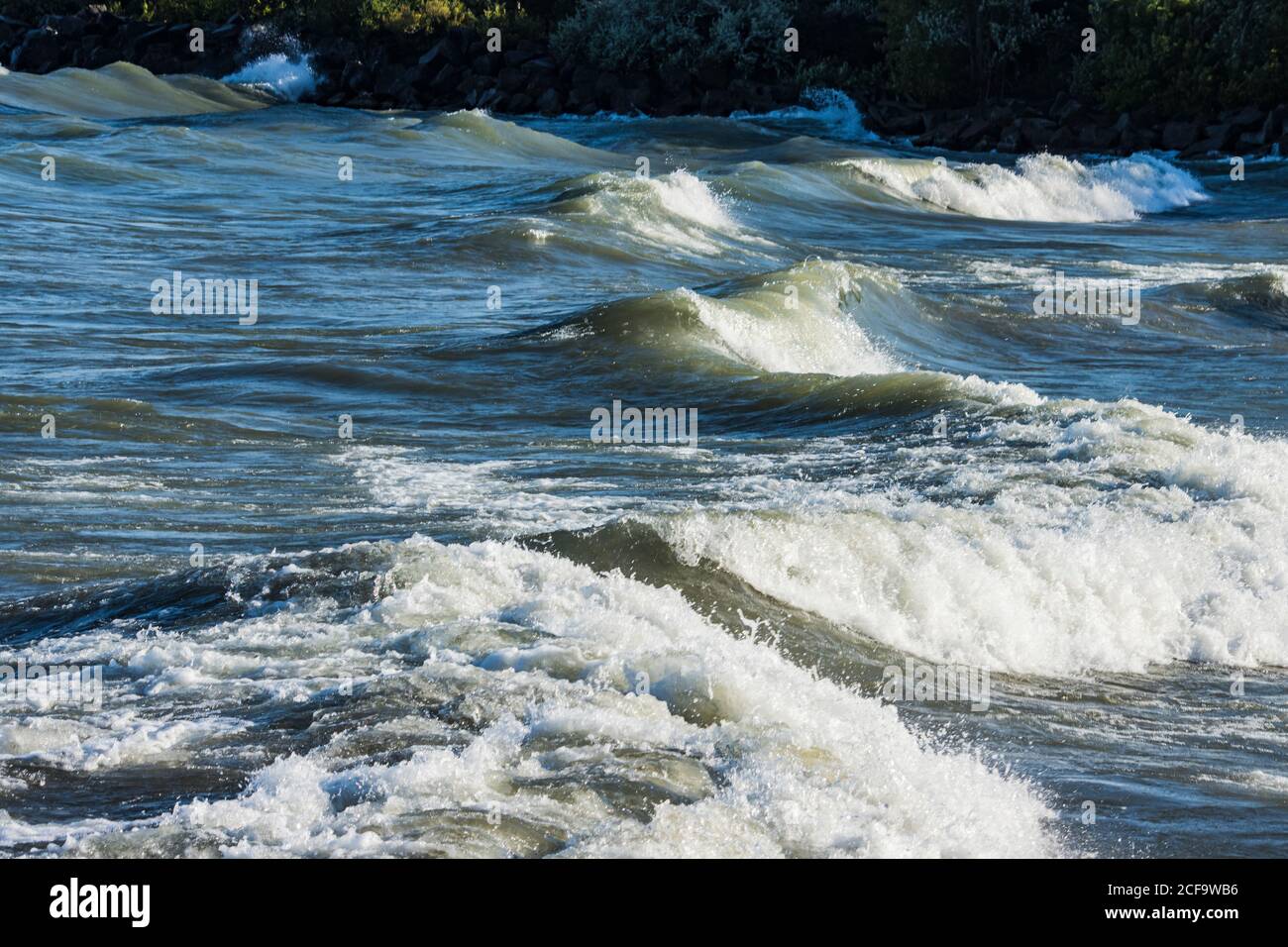 Whitecap Teak Handrail | Marine