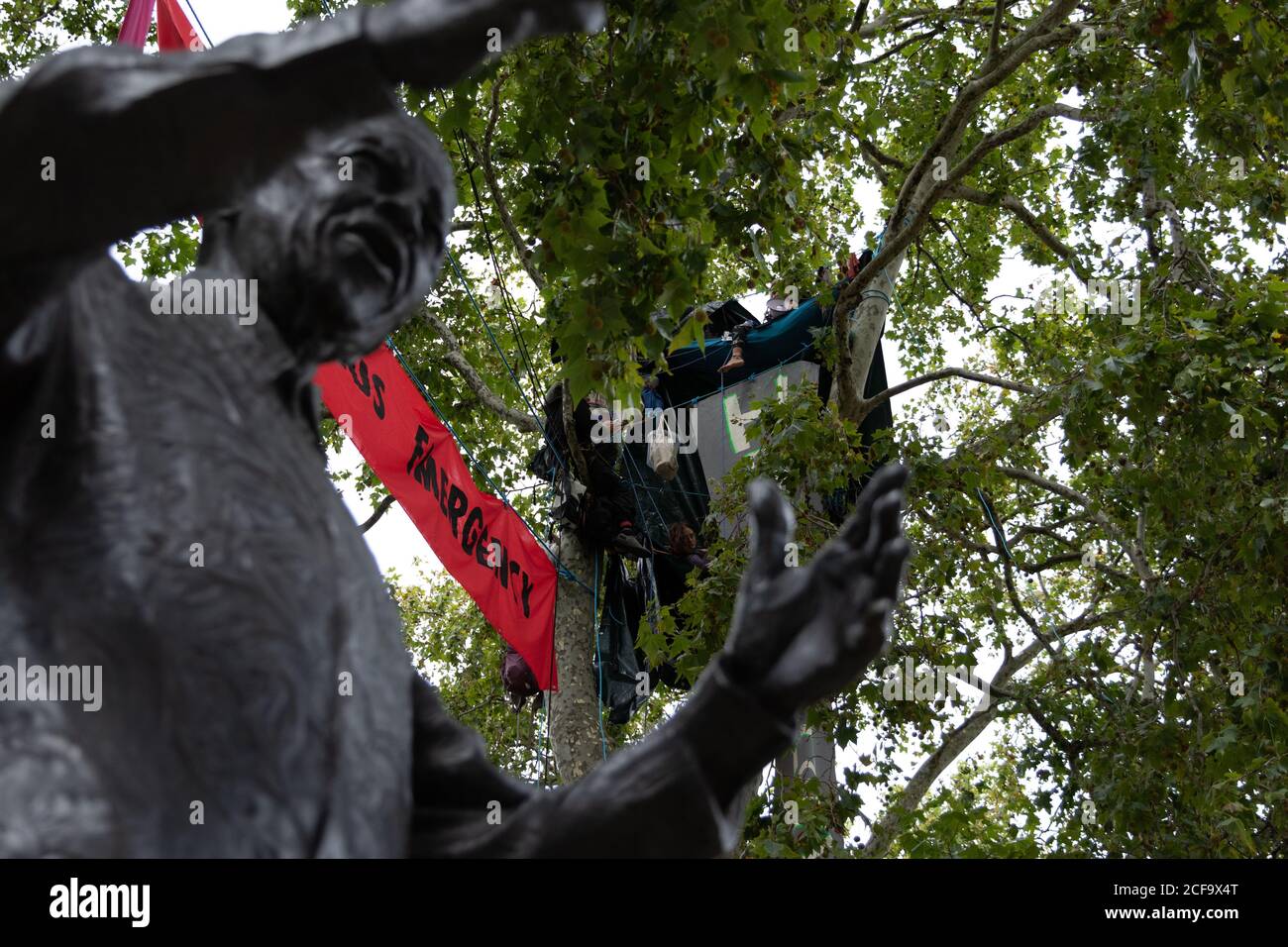 London, UK. 4th September, 2020. A protestor camps in the trees above Parliament Square during day five of Extinction Rebellion’s 10 day protest. Protests are occurring internationally. Protest’s in England are focussed on getting MPs to back the Climate and Ecological Emergency Bill and against HS2. Credit: Liam Asman/Alamy Live News Stock Photo