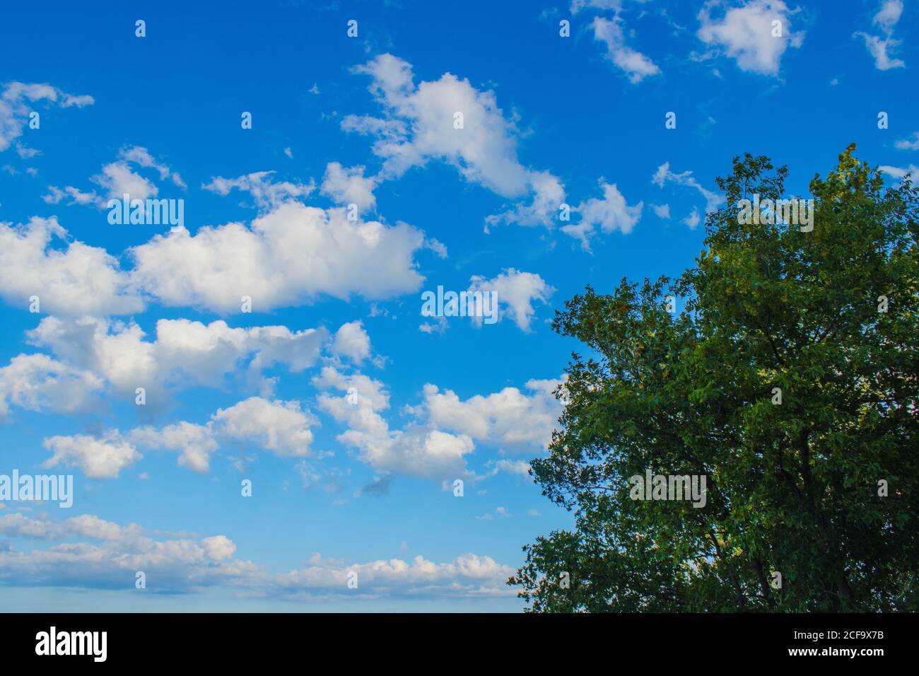 Scattered fluffy white clouds hi-res stock photography and images - Alamy