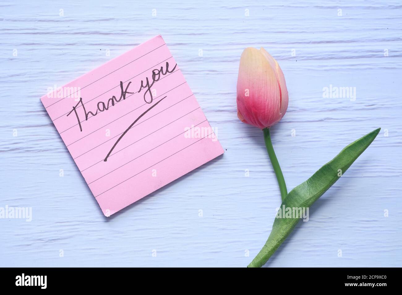 thank you message on sticky note with tulip flower on white background