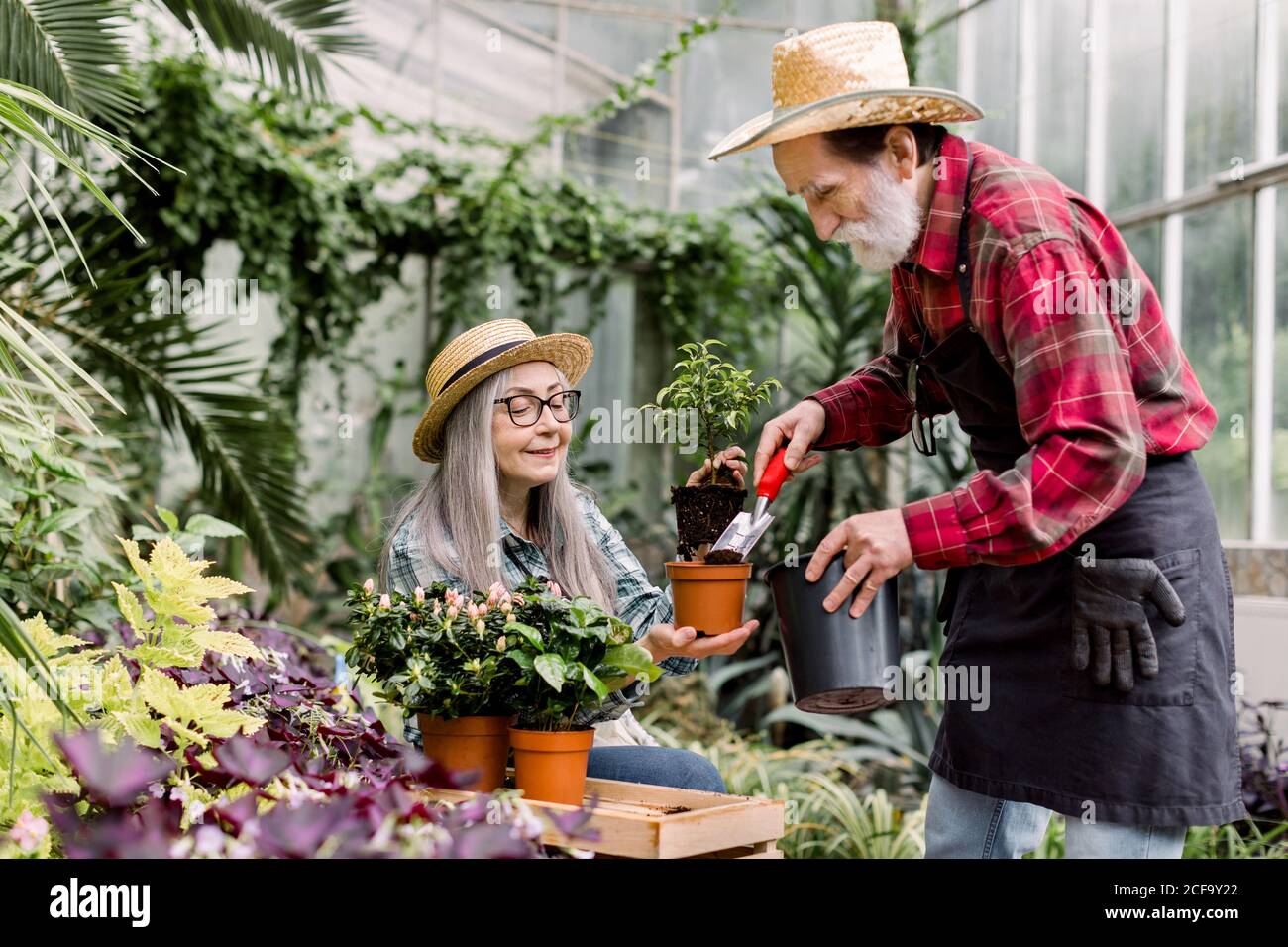 Couple of gardeners hi-res stock photography and images - Page 3