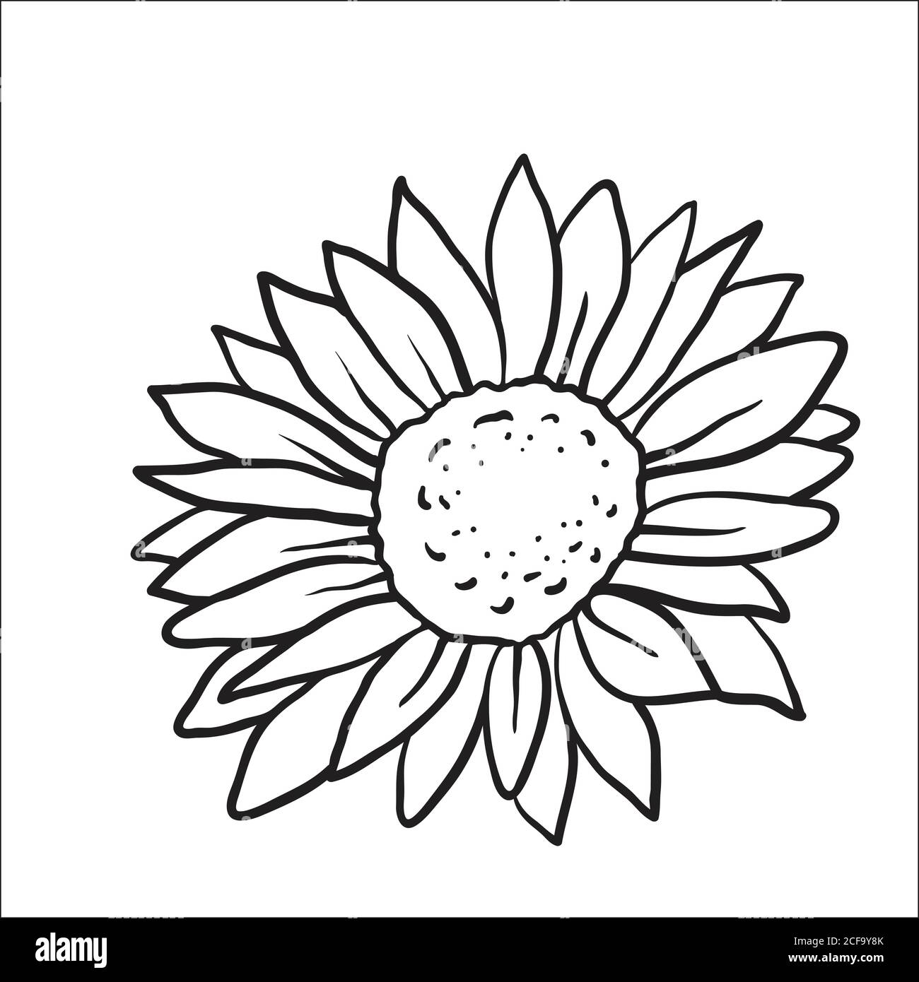 Vector image of hand drawn sunflowers Stock Vector Image & Art - Alamy