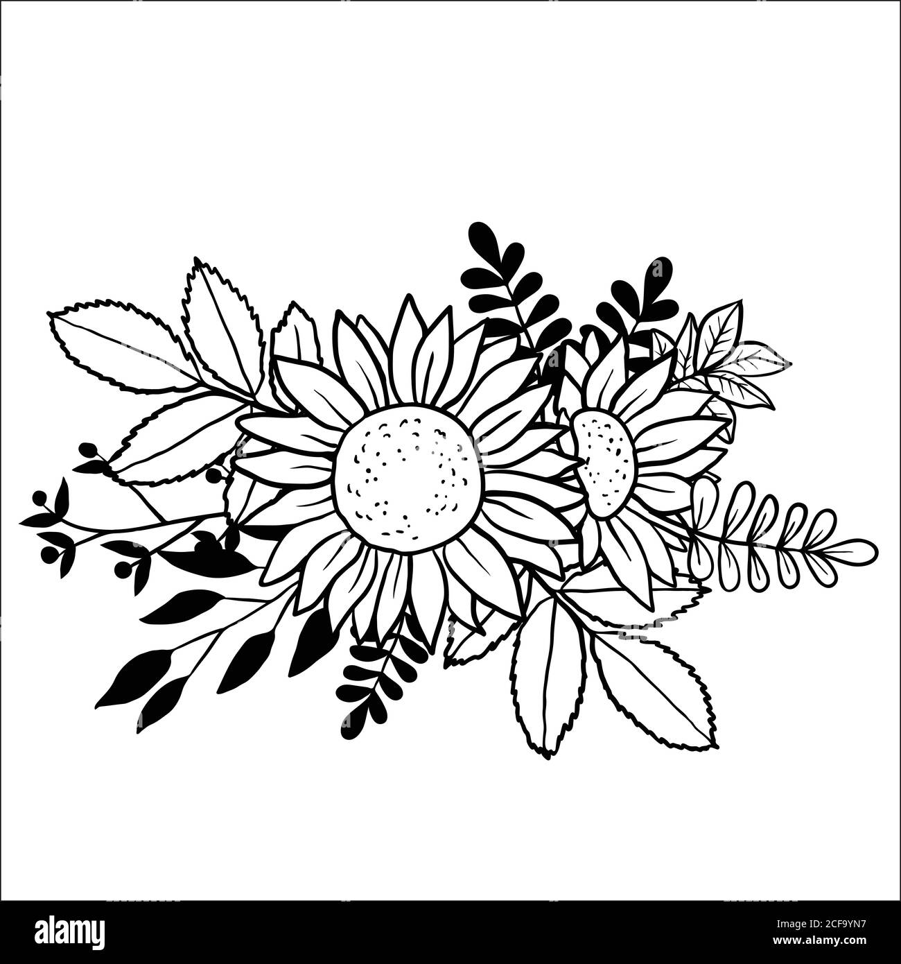 Vector image of hand drawn sunflowers Stock Vector Image & Art - Alamy