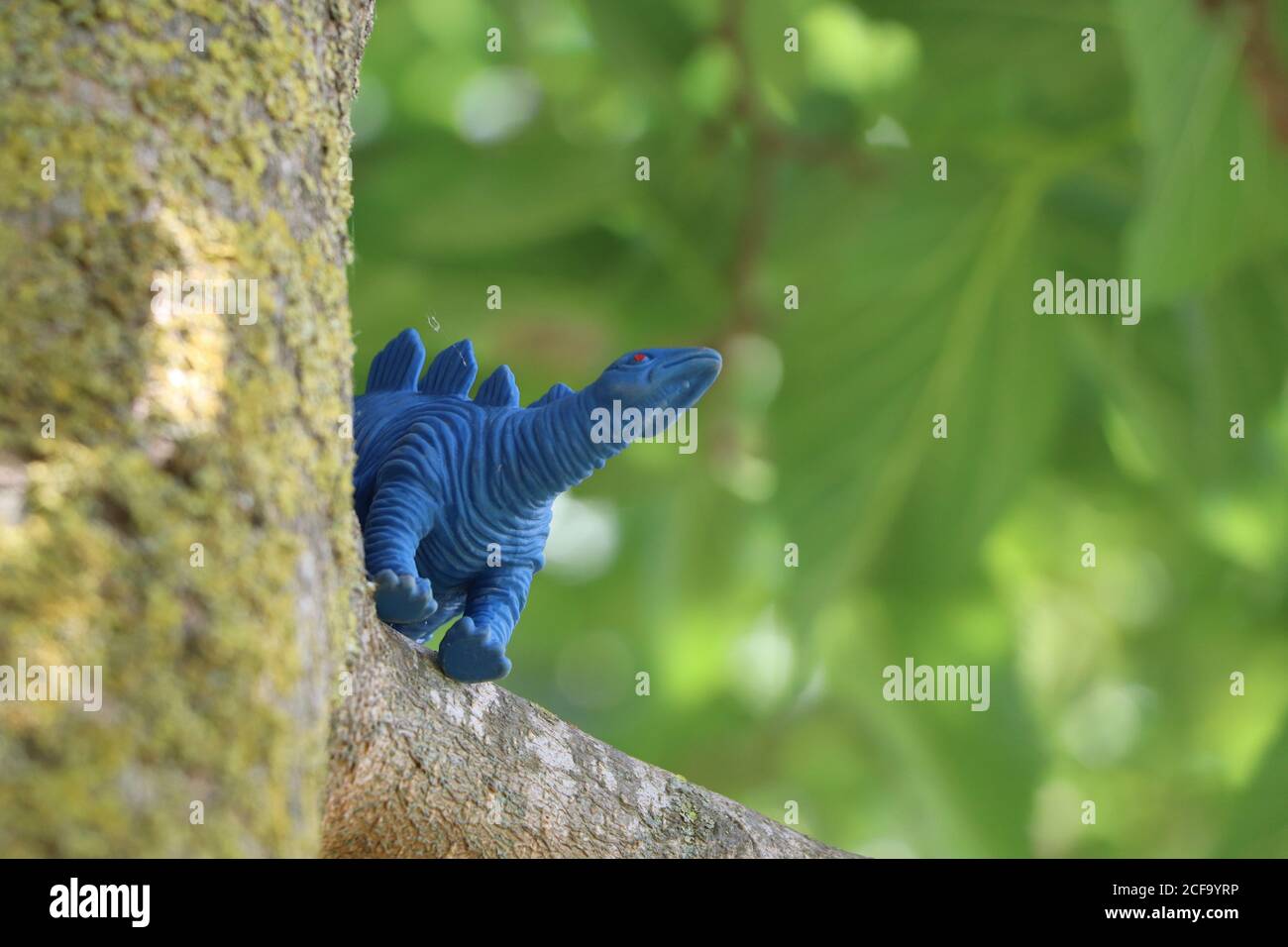 blue rubber dinosaur toy in a park Stock Photo Alamy