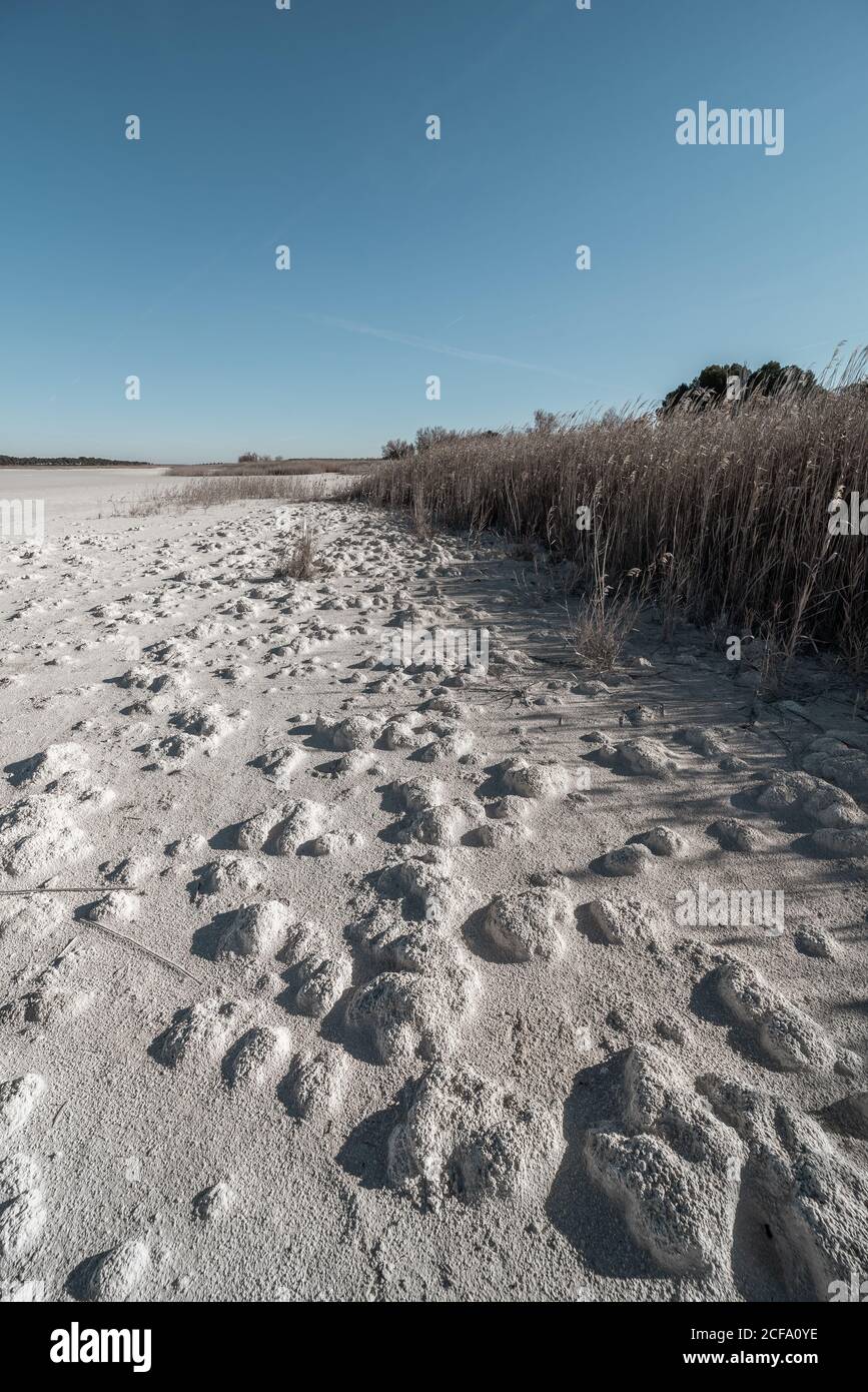 Drought desert landscape with dry ground and plants against blue sky ...