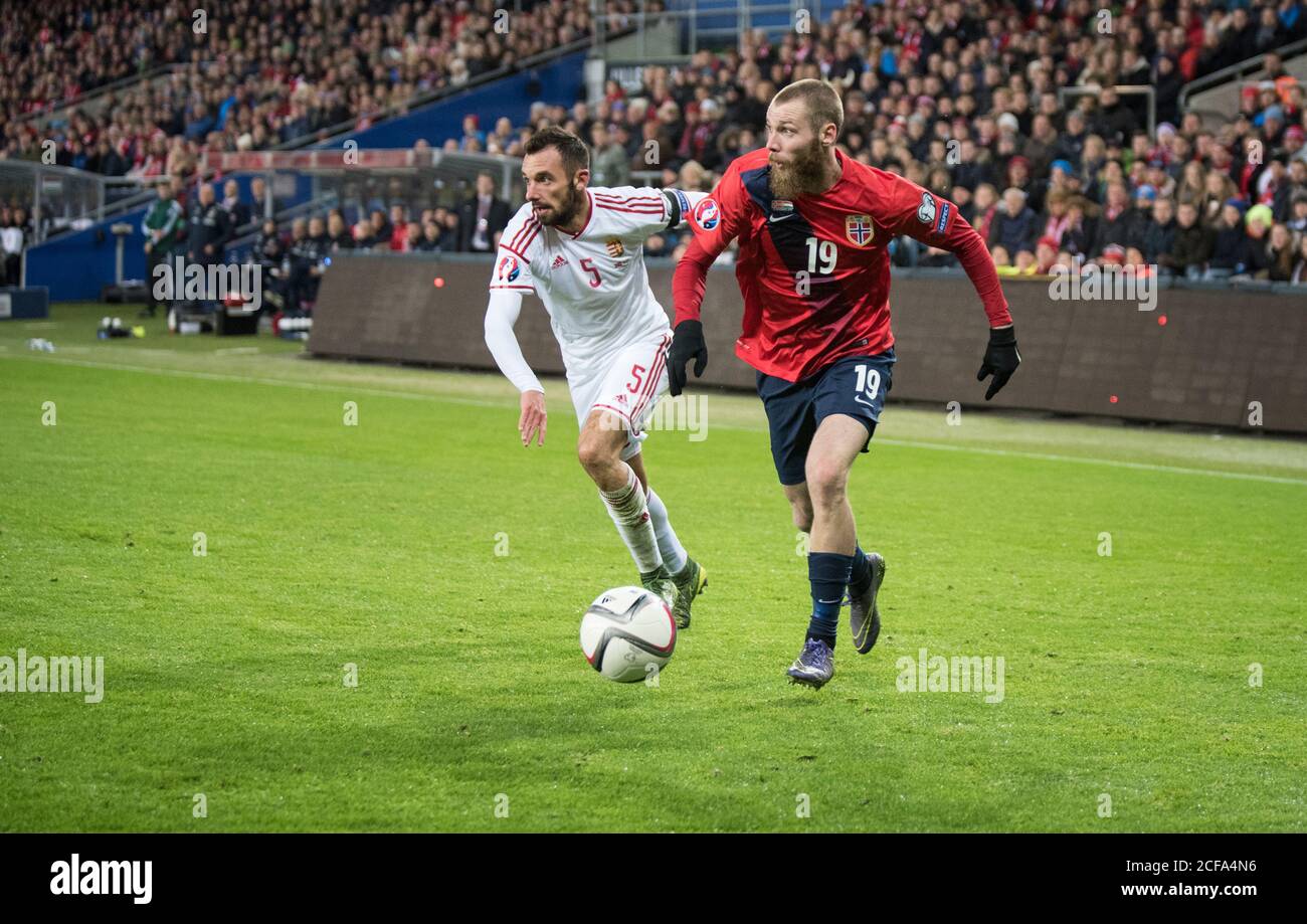 Norway striker Jo Inge Berget (19) is up against Hungary’s Attila Fiola (5) during in the UEFA Euro 2016 play-off match between Norway and Hungary at Ullevaal in Oslo (Gonzales Photo/Jan-Erik Eriksen). Stock Photo