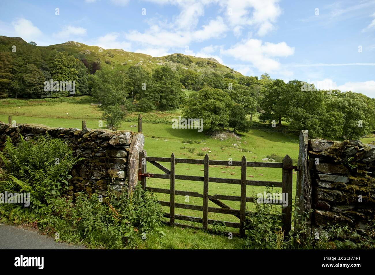 wooden gate in dry stone wall entrance to field below loughrigg fell loughrigg lake district national park cumbria england uk Stock Photo
