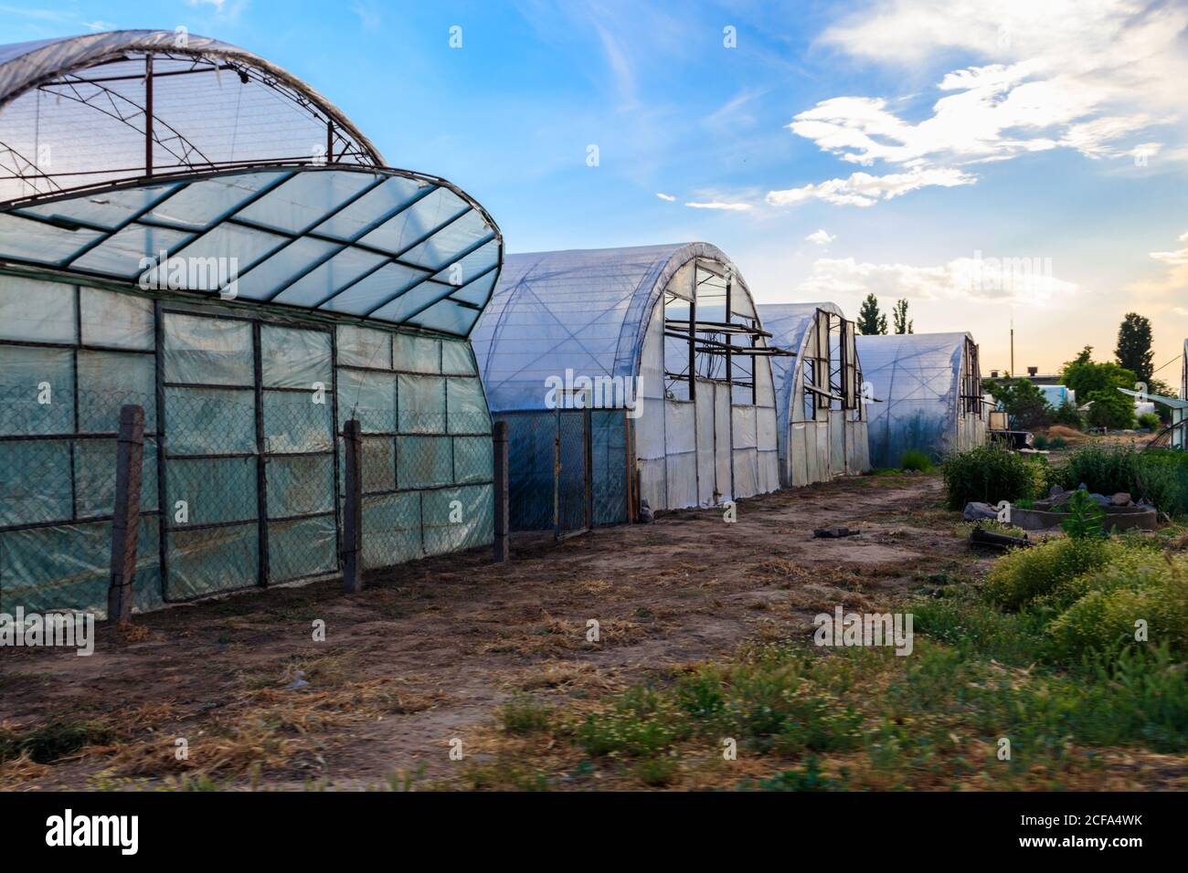 Polythene tunnel as a plastic greenhouse for growing vegetables Stock Photo