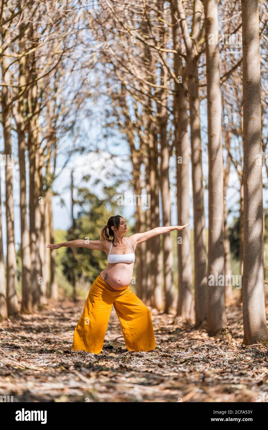 Concentrated adult expectant mother practicing yoga in park Stock Photo