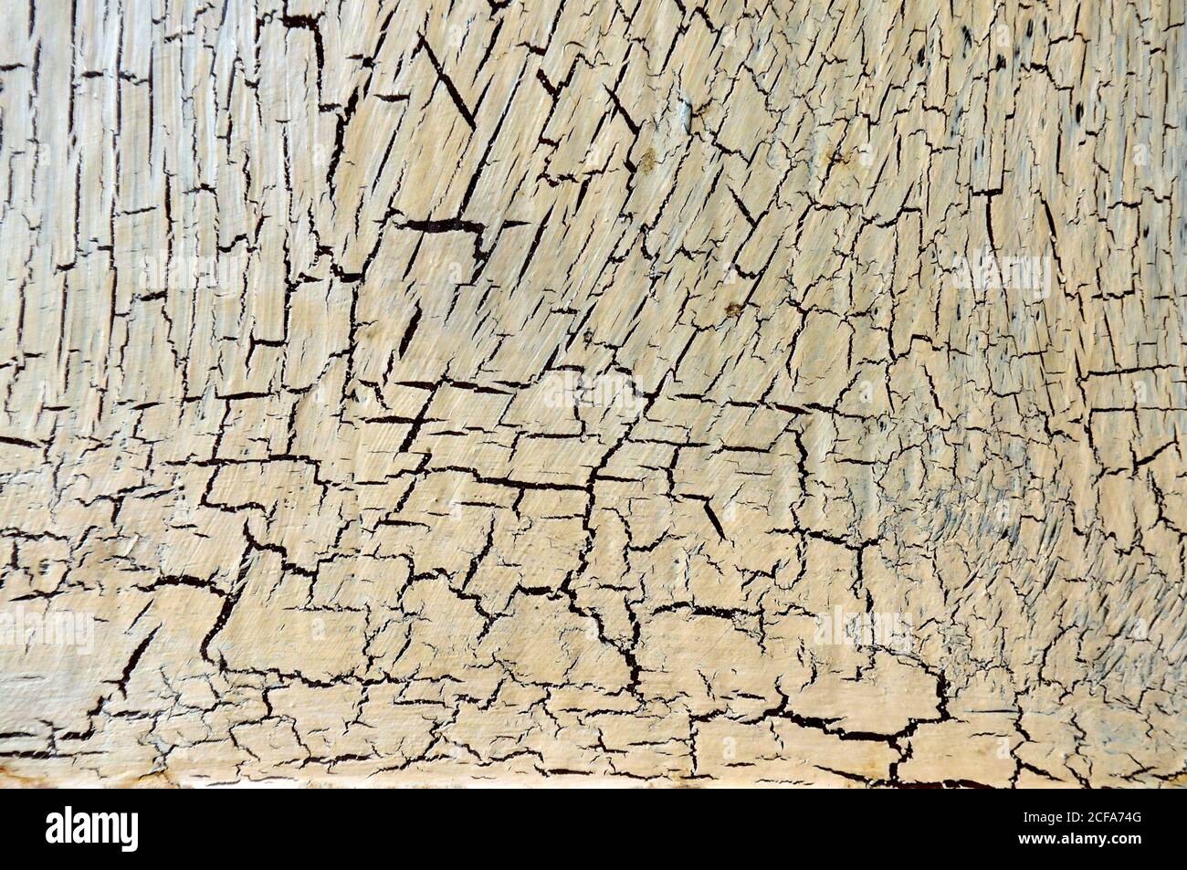 Cracked and Flaking yellow / white Paint on wood Photography by