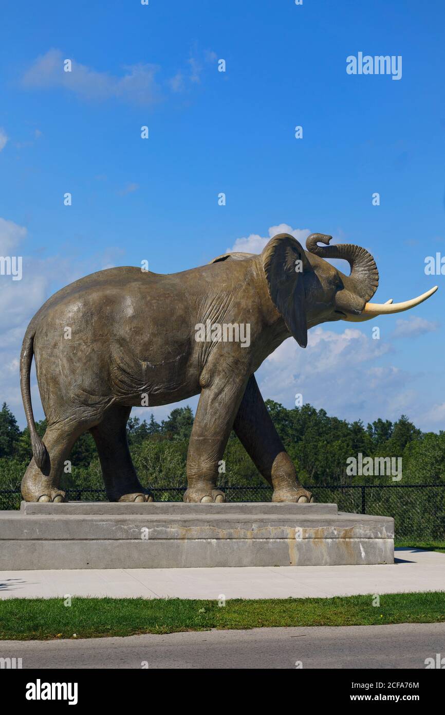 St thomas memorial hires stock photography and images Alamy