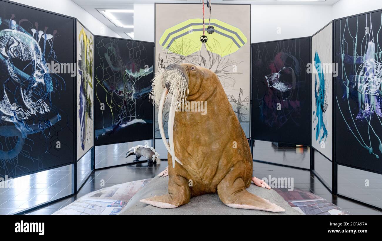 04 September 2020, Hamburg: The stuffed walrus Antje can be seen as part of the installation 'Arche endemisch' by Helga Schmidhuber in the Galerie der Gegenwart of the Kunsthalle Hamburg. The exhibition 'The absurd beauty of space' can be seen until 07.03.2021. Photo: Markus Scholz/dpa - ATTENTION: Only for editorial use in connection with a report on (the programme/the film/the auction/the exhibition/the book) and only with full mention of the above credit Stock Photo