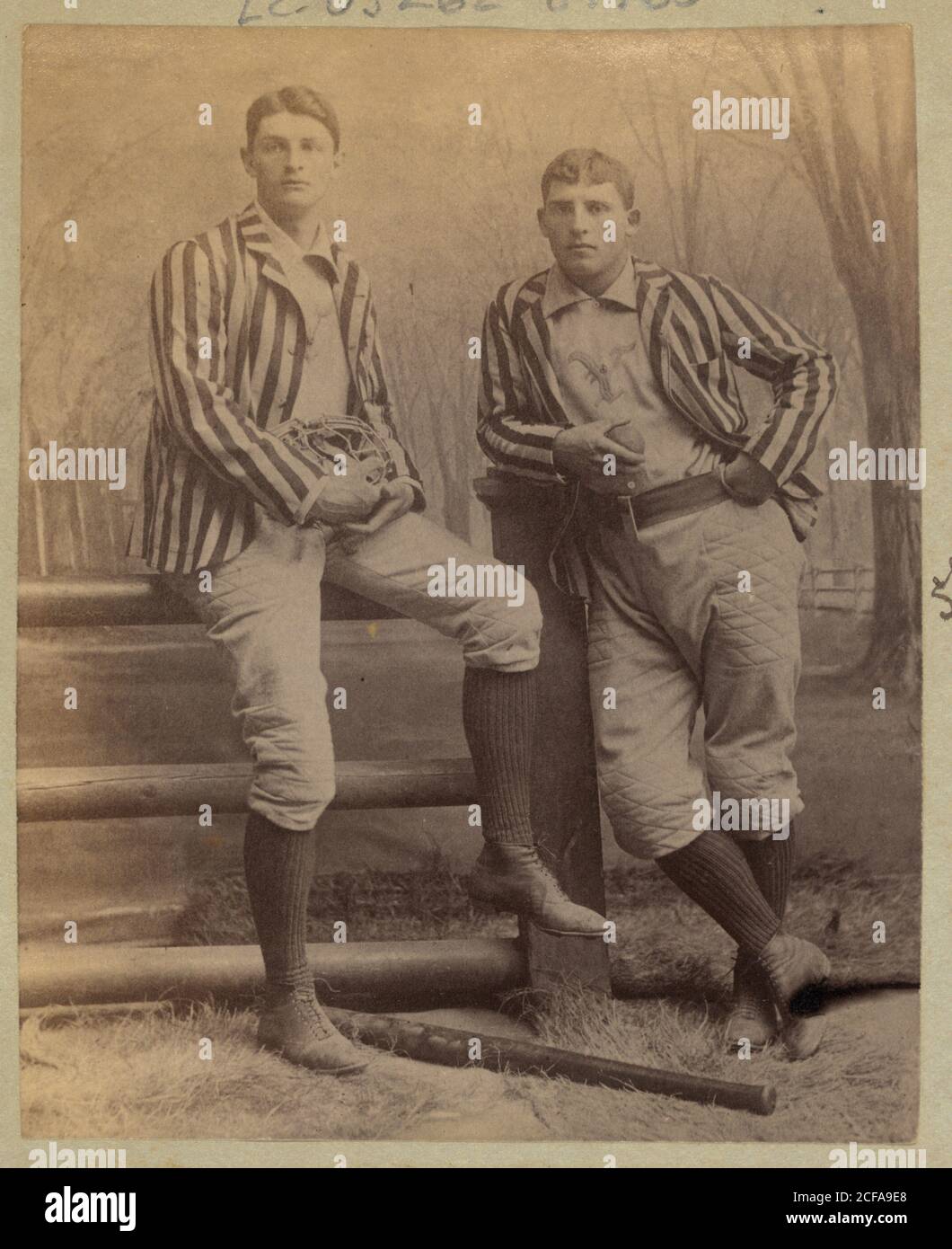 Yale Baseball Players Stock Photo Alamy