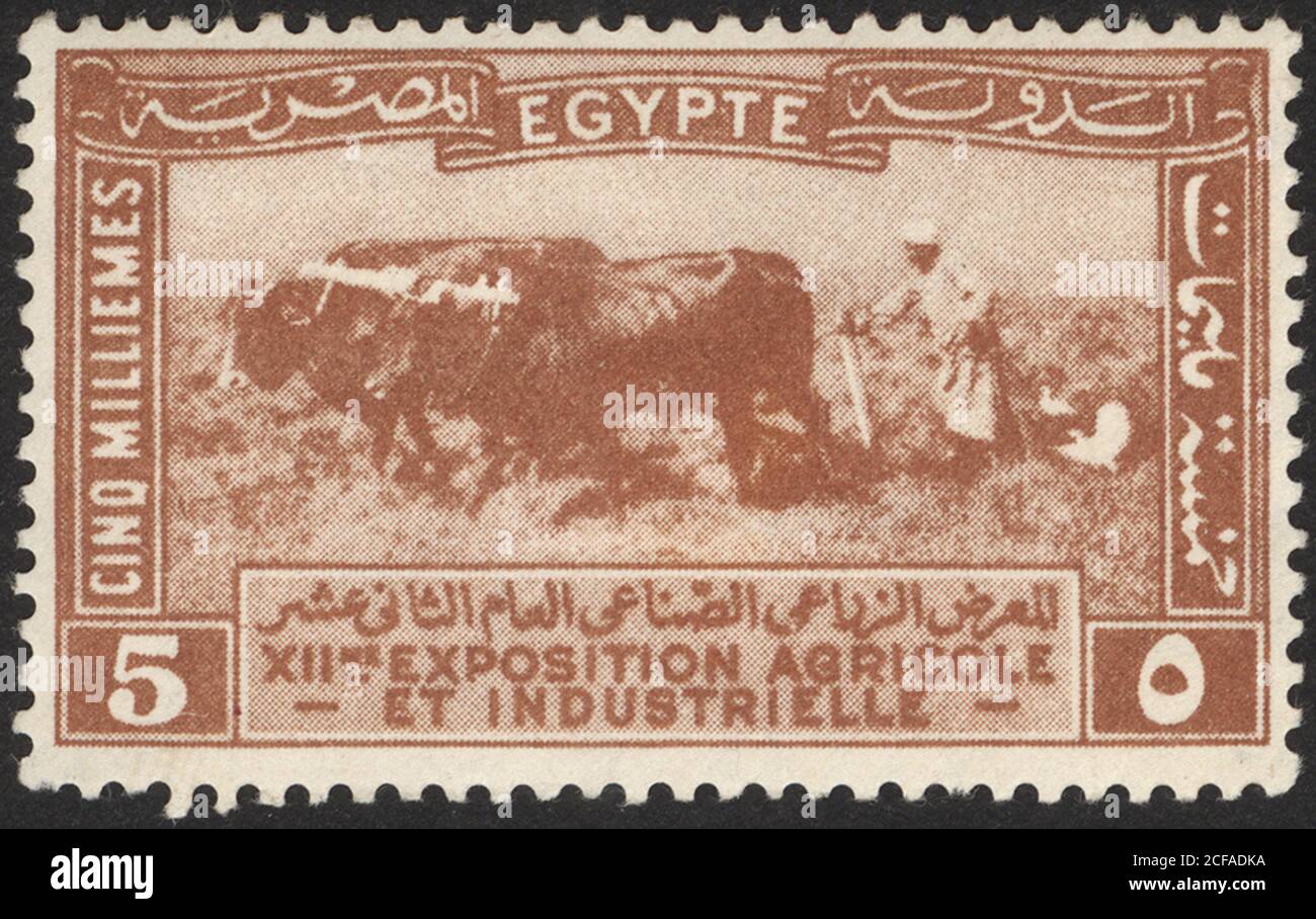 Postage stamps of the Egypt. Stamp printed in the Egypt. Stamp printed