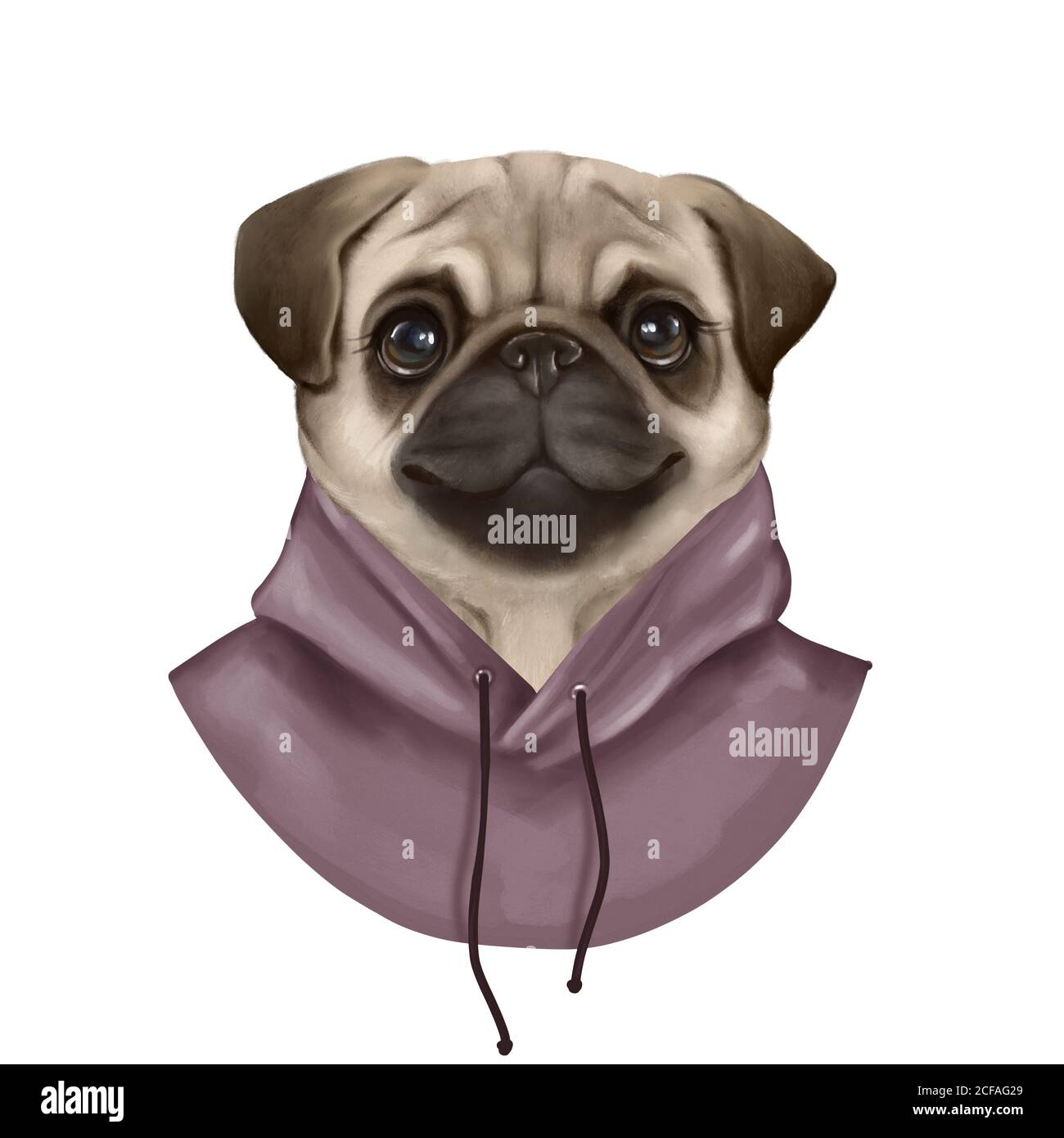 Portrait of pug dog wearing hoody. Cute animal illustration Stock Photo