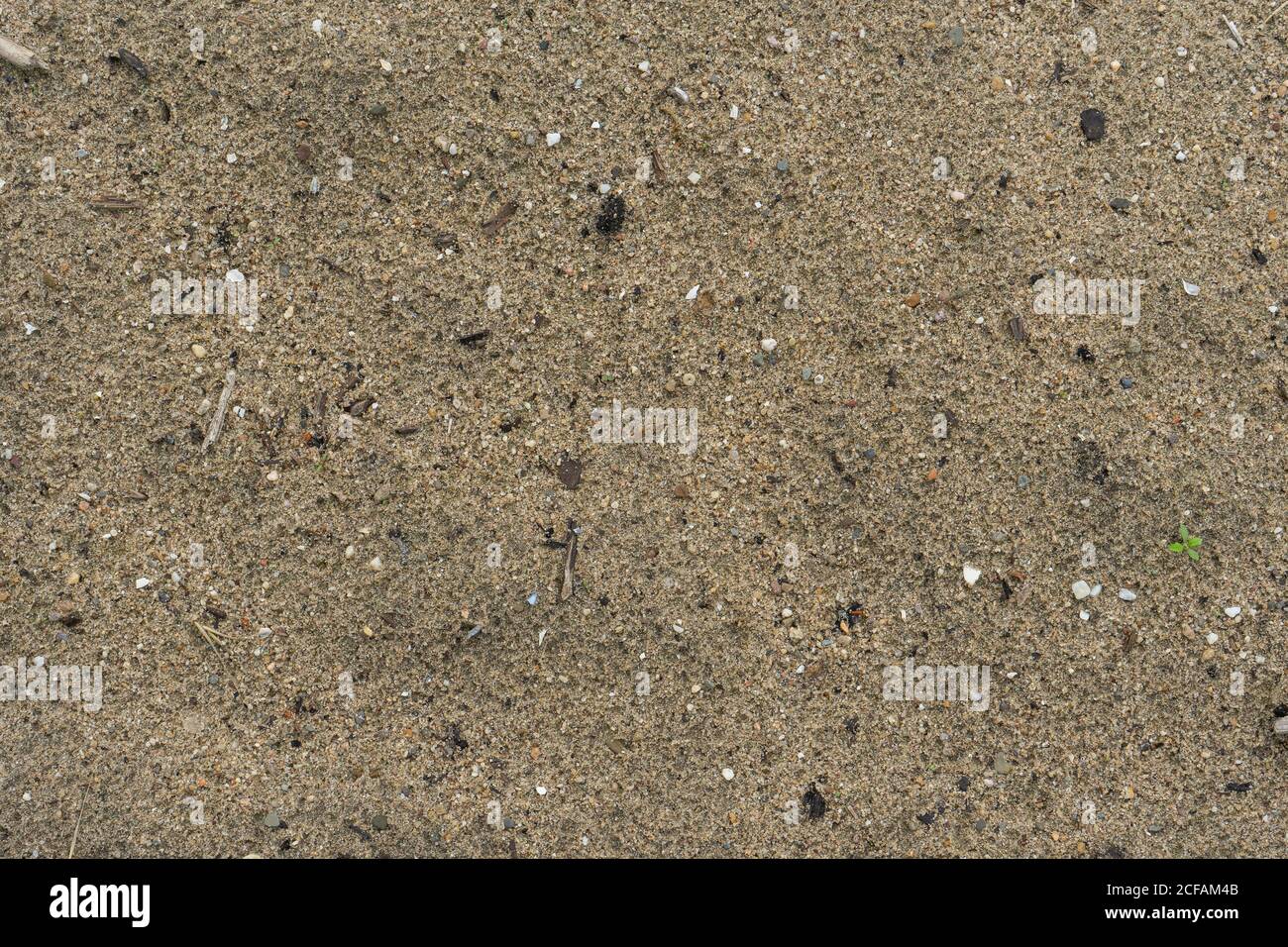 grainy rain drops sand texture mixed with small pebble, wooden sticks Stock Photo