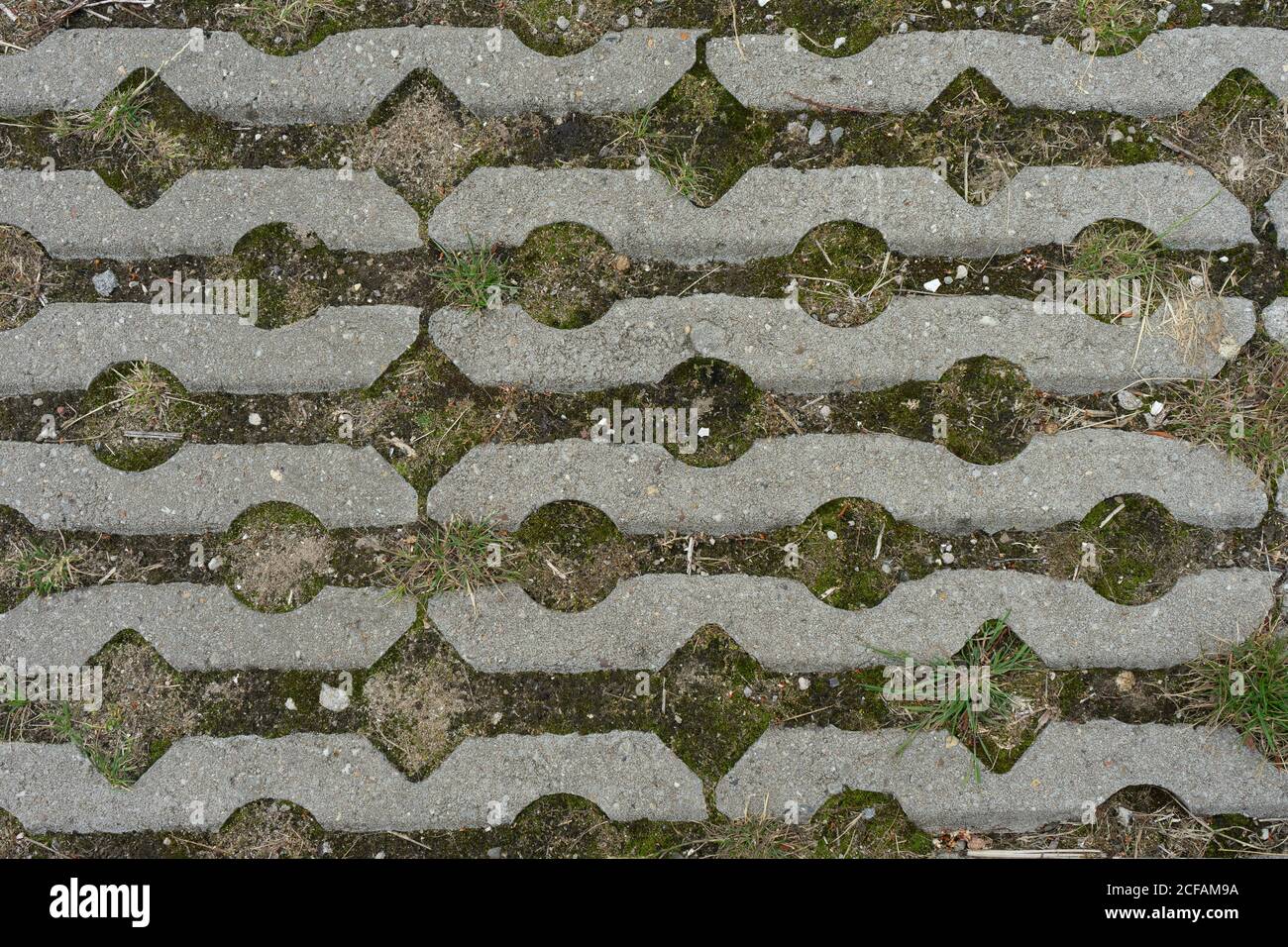 stone pavement pattern with grass, moss and rocks inbetween Stock Photo ...