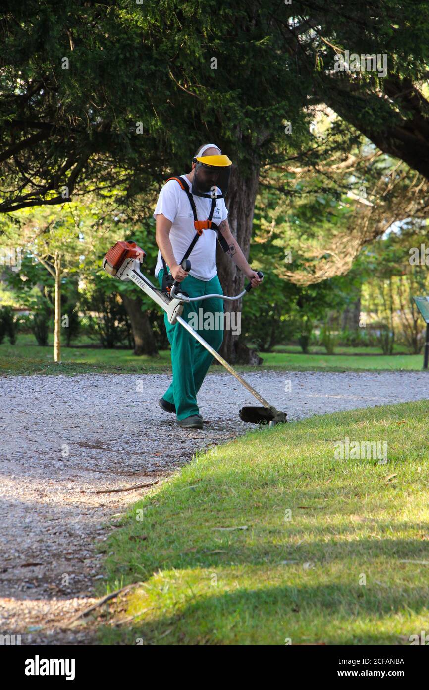 Council worker strimming grass at the edge of a path early summer morning in the Matalenas public park in Santander Cantabria Spain Stock Photo