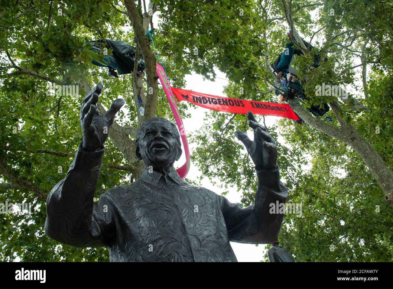 Protestors encamped in trees are seen alongside the Nelson Mandela statue in Parliament Square, London, during an Extinction Rebellion protest. Stock Photo