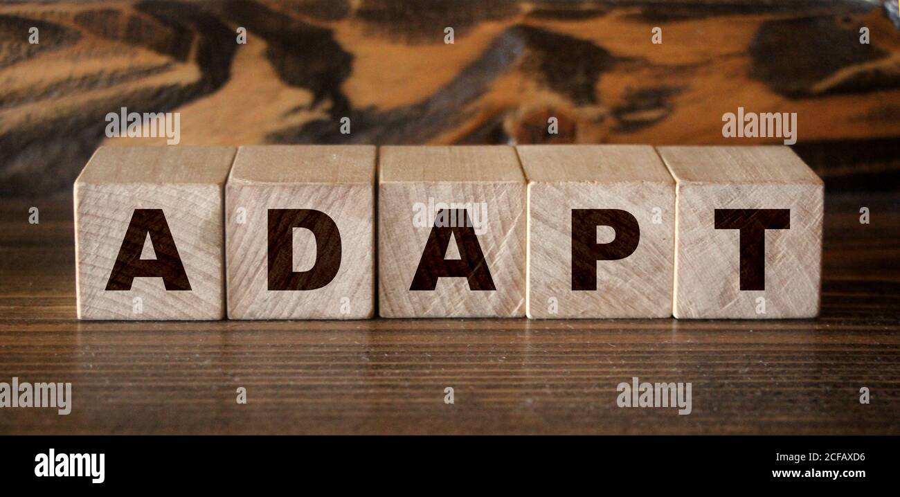 adapt bb mag 2.0