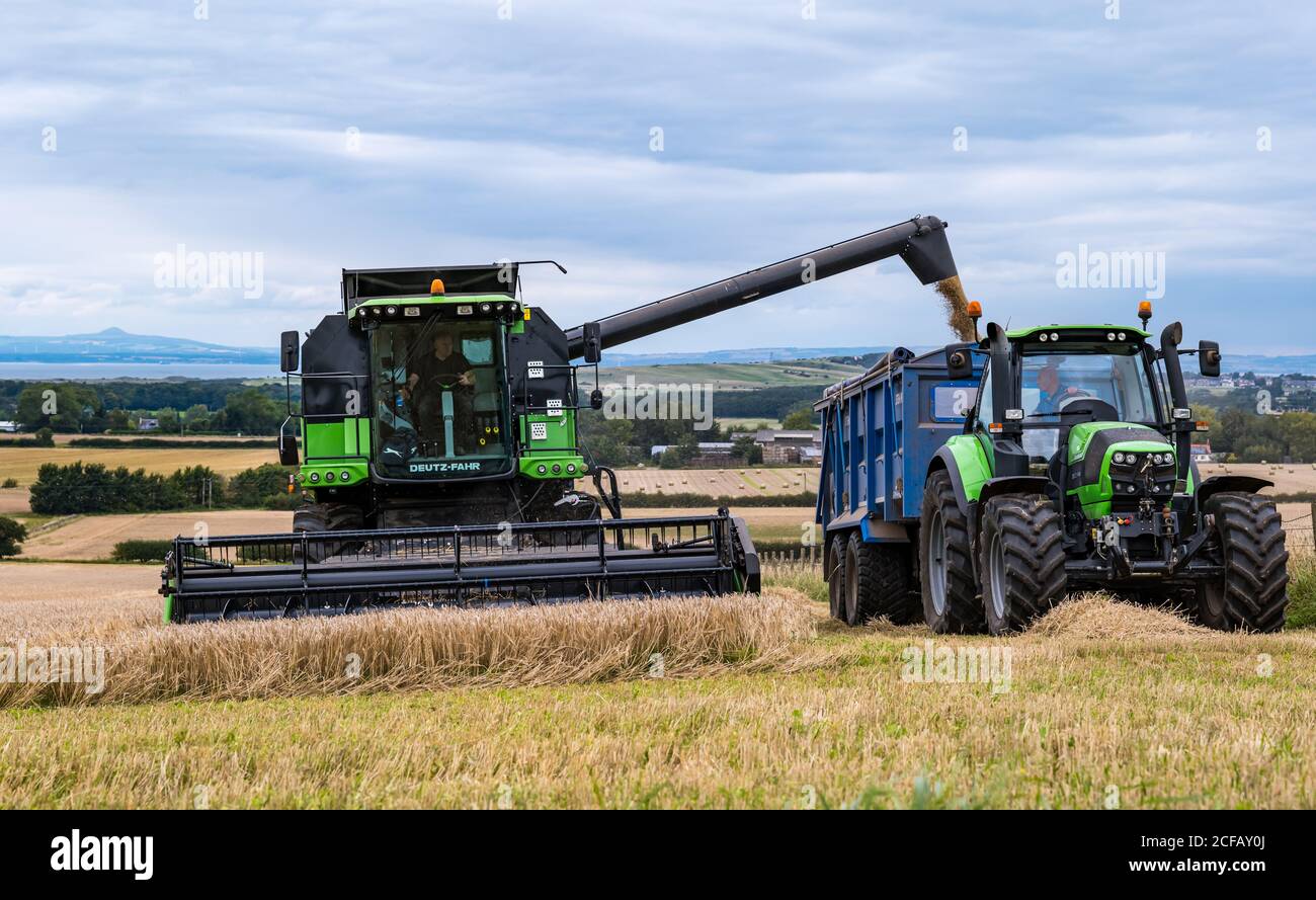 Deistz Fahr combine harvester harvesting a barley grain crop field with a tractor in Summer, East Lothian, Scotland, UK Stock Photo