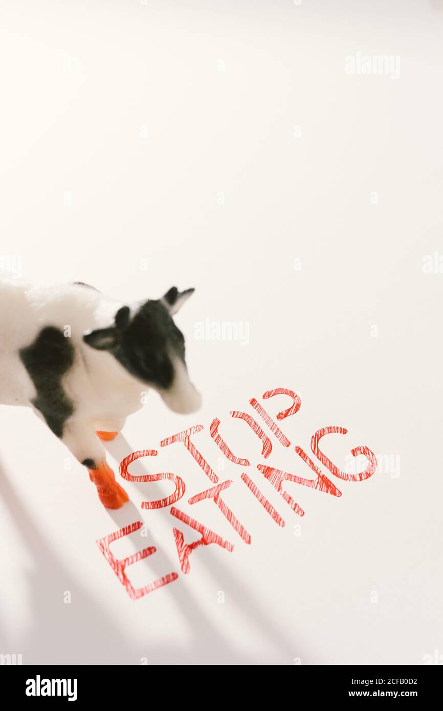 Slogan calling to stop eating animals Stock Photo