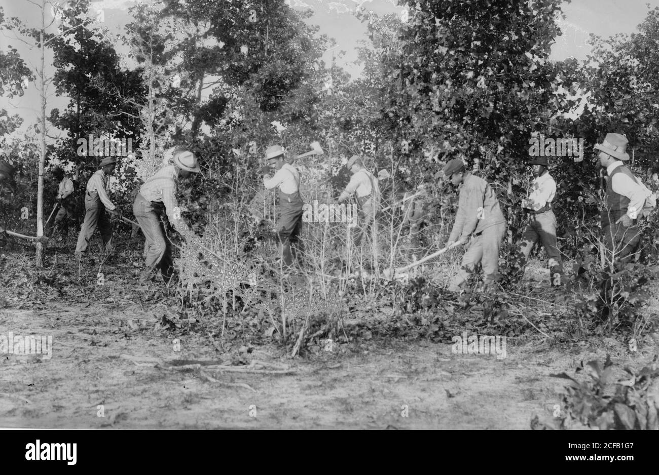 Field work, Tuskegee Stock Photo Alamy